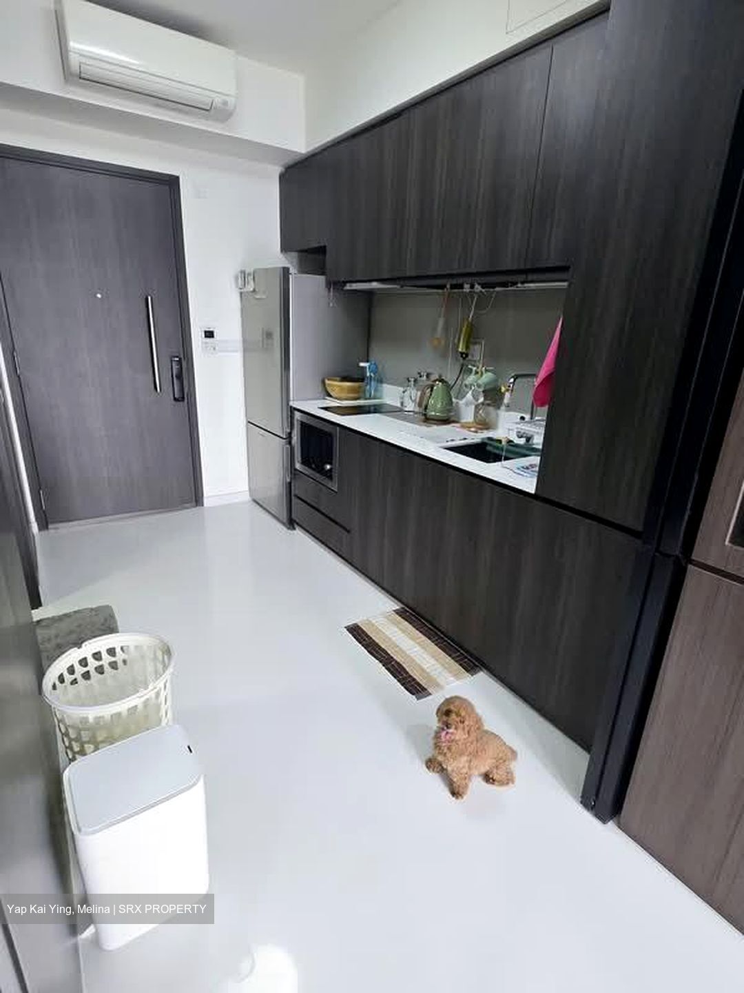 North Park Residences (D27), Apartment #566689011